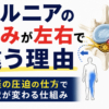 ヘルニア腰痛